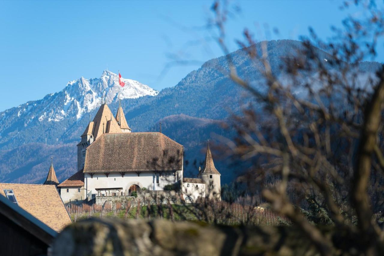 Nonanteneuf Appart Hotel Aigle - Contactless Check-In Exterior photo